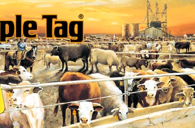 "Feeding the World", commissioned by Temple Tag